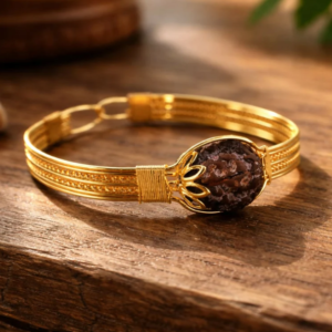 Premium Gold-Plated Rudraksha Bracelet for Men | Spiritual Healing Bead Bracelet | Bignaam