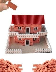 Mini Brick Set