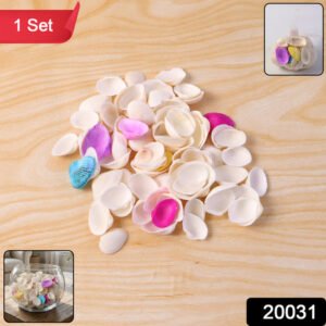 Decorative Seashells Set (1 Set)