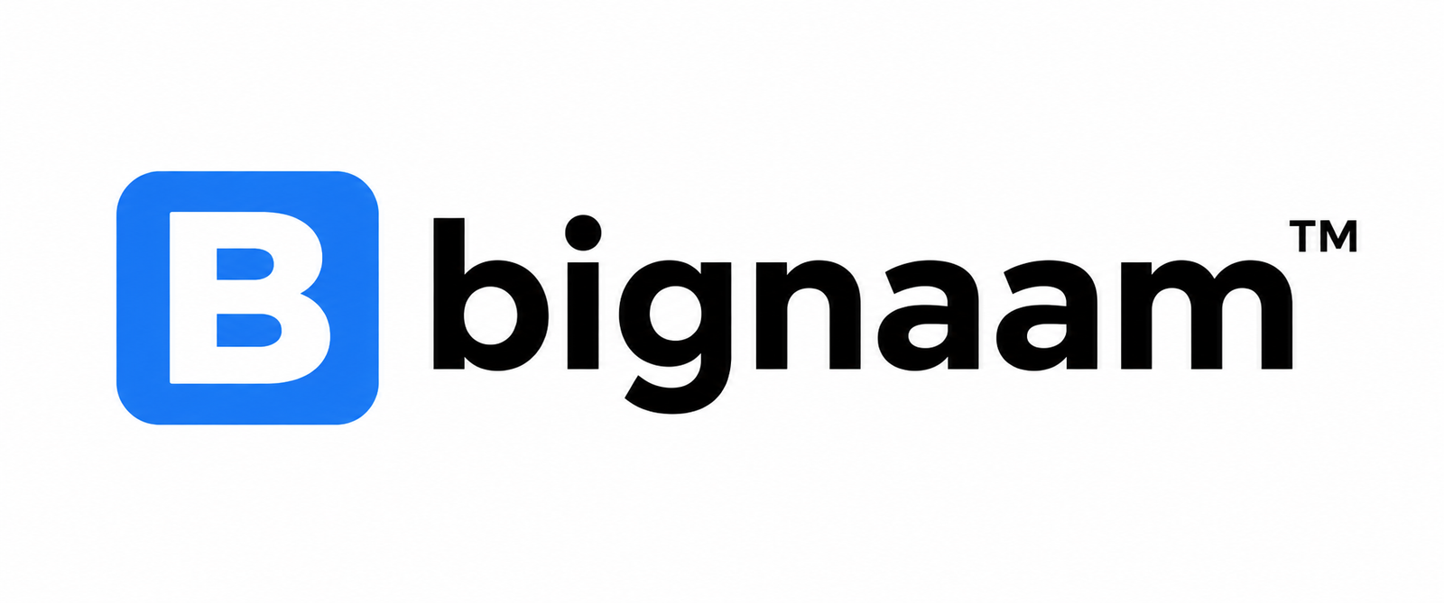Bignaam Official Logo
