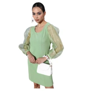 Women's Organza And Polyester Lycra Solid Long Sleeves Dress (Green)
